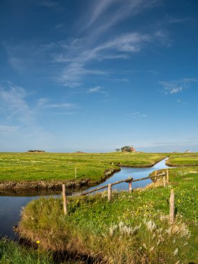 Hallig Hooge, Kuzey Frizya, Schleswig-Holstein, Almanya 'da Kirchwarft ve Ockelutzwarft ile manzara