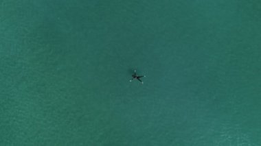 yeşil deniz su içerisinde yüzen arkadan görünüm adamın havadan görünümü