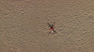 sahilde kum melek yapım adama havadan görünümü 