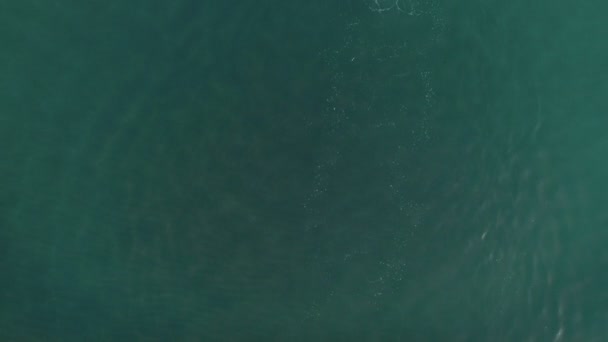 Man Alleen Luchtfoto Uitzicht Zee Water Zwemmen — Stockvideo
