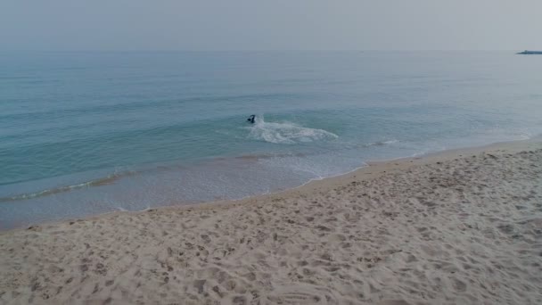 Homem Terno Surf Correndo Para Nadar Água Mar — Vídeo de Stock