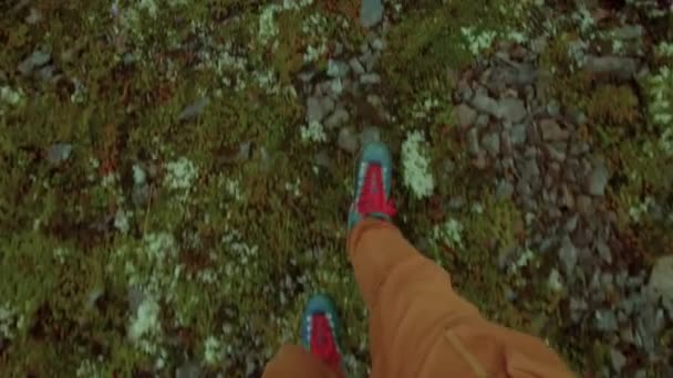 Walking on grass and moss in trekking boots — Stock Video