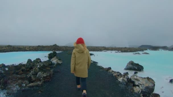 Travelling student explores iceland — Stock Video