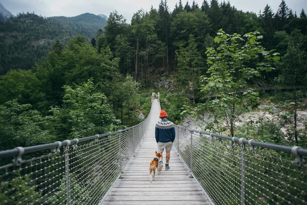 ฮิปสเตอร์นักปีนเขาชายและสุนัขบนสะพานแขวน รูปภาพสต็อก