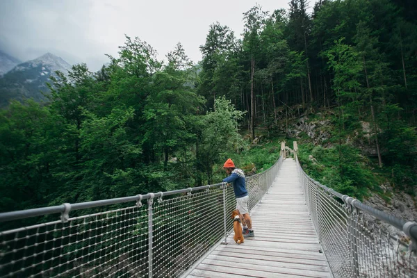 Hipster caminhante homem e cão na ponte suspensa Imagens De Bancos De Imagens