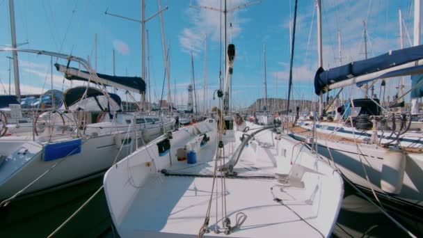 Beautiful racing sailboat docked in marina — Stock Video