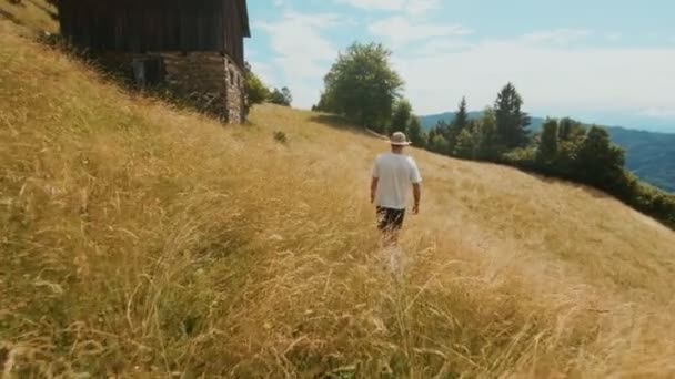 Reisender geht an sonnigem Sommertag mit Hund auf Feld — Stockvideo