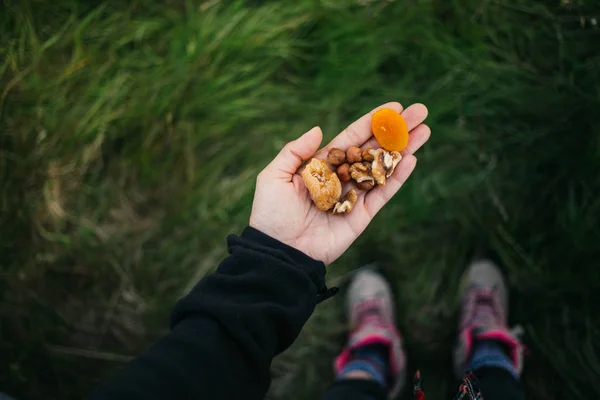 El viajero sostiene frutos secos y nueces en la palma de la mano —  Fotos de Stock