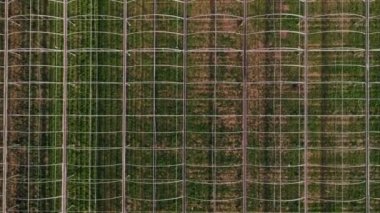 Drone alanlarında vurdu ve yeşil evler, çiftlik ülke