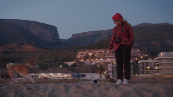 Молодая женщина-хипстер на пляже с собакой — стоковое видео