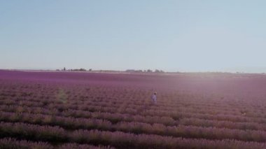 Turist veya gezgin lavanta alanları
