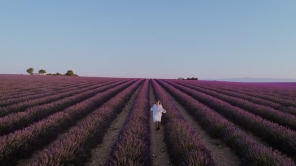 Hermosa mujer en vestido blanco en el campo de lavanda — Vídeo de stock