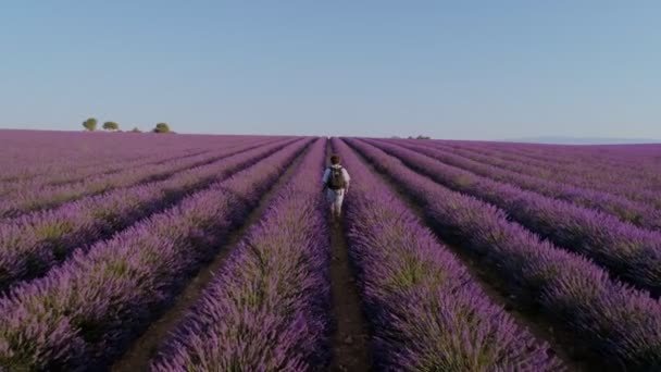 Touristen oder Reisende in Lavendelfeldern — Stockvideo