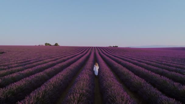 Beautiful woman in white dress in lavender field — Stock Video