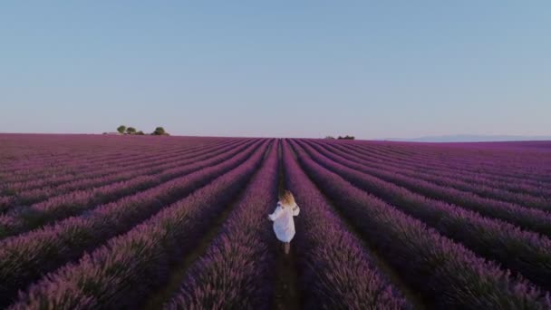 Schöne Frau im weißen Kleid im Lavendelfeld — Stockvideo