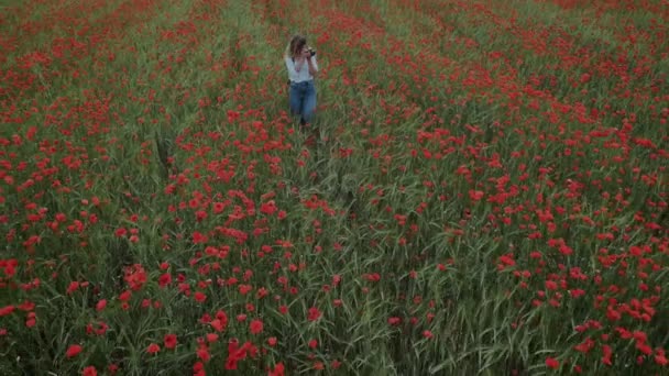 Jonge vrouwelijke blogger vrouw op gebied van bloem — Stockvideo