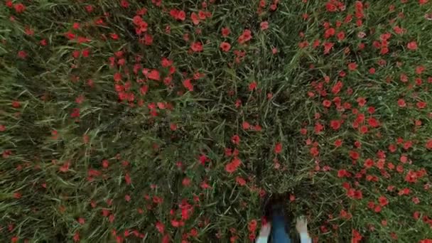 Young feminine blogger woman in flower field — Stock Video