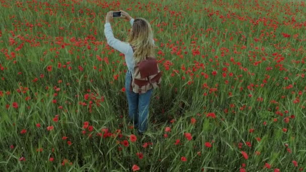 Jonge vrouwelijke blogger vrouw op gebied van bloem — Stockvideo