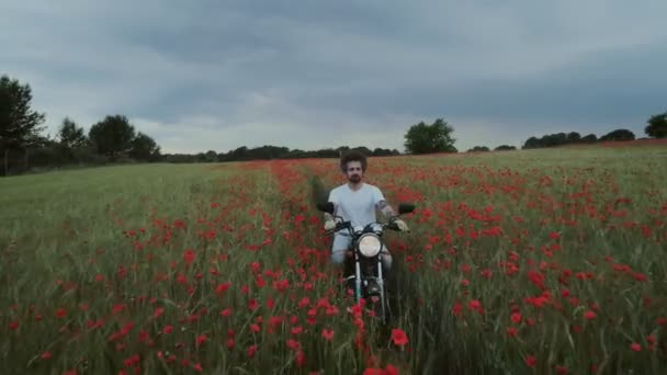 Мотоциклист ездит на цветочном поле — стоковое видео