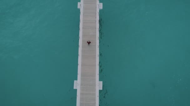 在码头上的孤独的人的身影或轮廓 — 图库视频影像