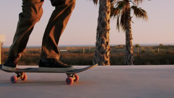 Millennial hipster passeios de skate ao pôr do sol — Vídeo de Stock