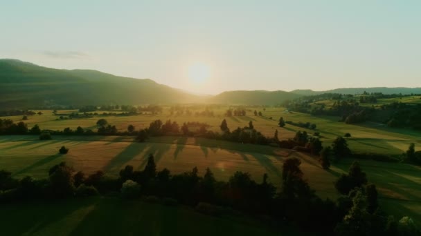 Vreedzame epische landbouw landschap drone shot — Stockvideo