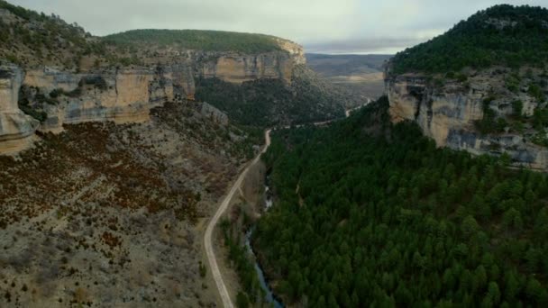 Luchtfoto van Grindweg in Mountain forest — Stockvideo