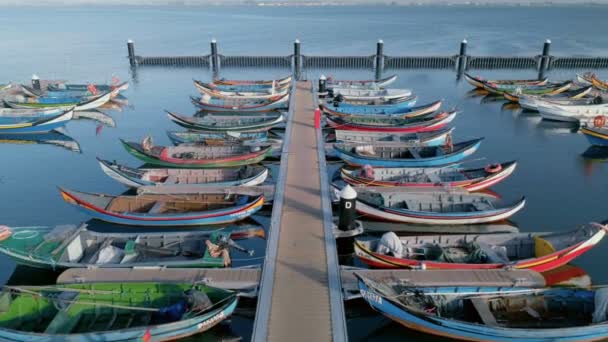 Barcos de pesca coloridos atracados na marina ou no porto — Vídeo de Stock