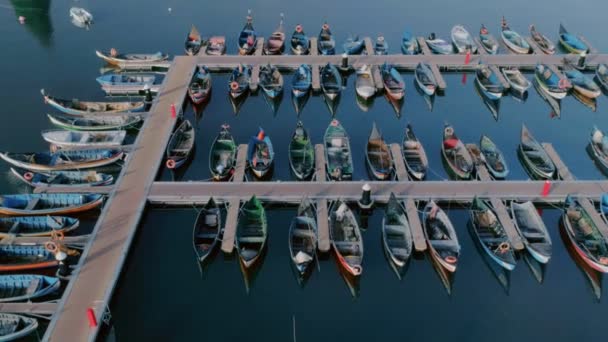 Різнокольорові рибальські човни, причалені в яхті або порту — стокове відео