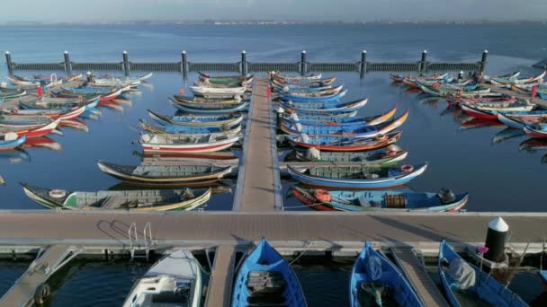 Colorful fishing boats docked in marina or port — Stock Video