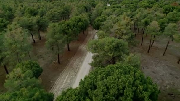 Aerial shot of gravel road in mountain forest — Stock Video