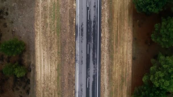 Droit tronçon de route goudronnée asphaltée dans la forêt — Video