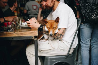 Lonely köpek sahibi yemek bitirmek için bekler