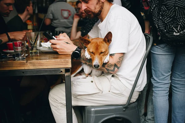 Cão solitário espera o dono terminar de comer — Fotografia de Stock