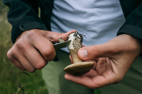 Man cleans mushrooms with pocket knife in forest — Stock Photo, Image