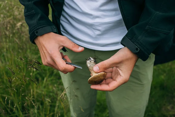 Mann säubert Pilze mit Taschenmesser im Wald — Stockfoto