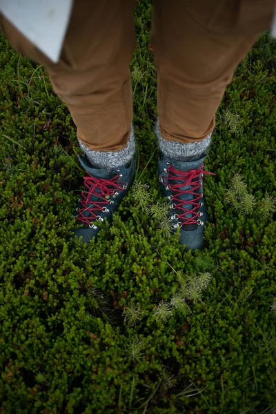 Mannelijke wandelschoenen ontstaan in Moss — Stockfoto