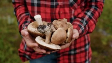 Genç kadın elinde yabani mantar tutar