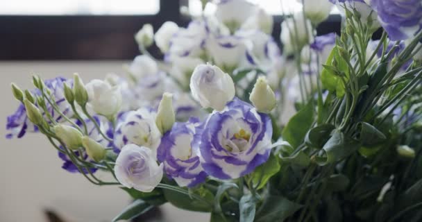 Rosas blancas y púrpuras como regalo de entrega sorpresa — Vídeo de stock
