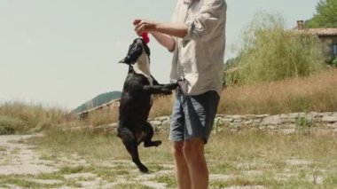 Adam parkta dışında Fransız bulldog ile oynuyor