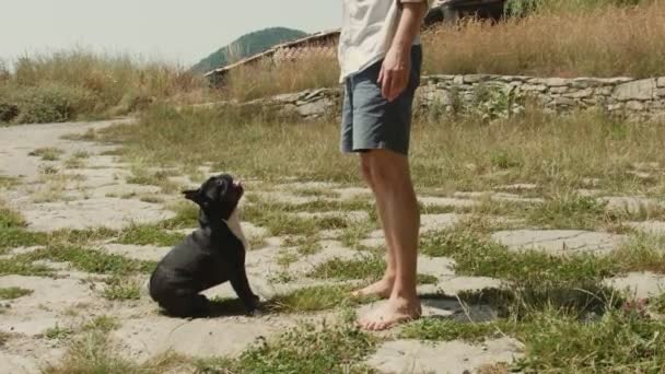 Man leker med Fransk Bulldog utanför i parkera — Stockvideo