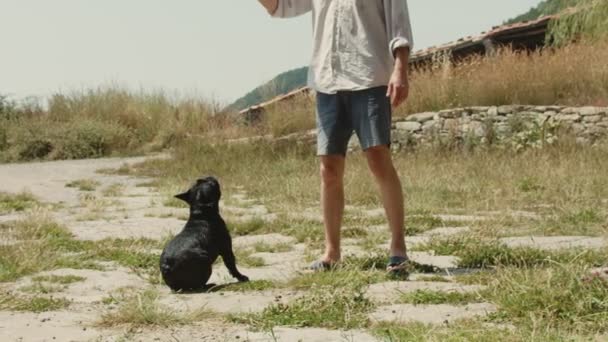 Homem joga com bulldog francês fora no parque — Vídeo de Stock