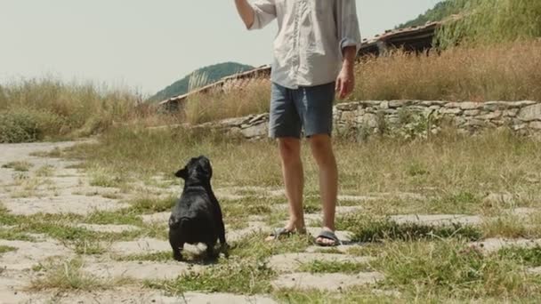 Man plays with french bulldog outside in park — Stock Video