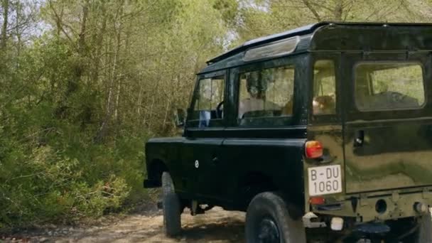 Хипстерский приключенческий автомобиль или черный джип в лесу — стоковое видео