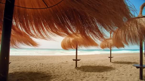 Palmiye şemsiyeli inanılmaz boş cennet kumsalı — Stok video