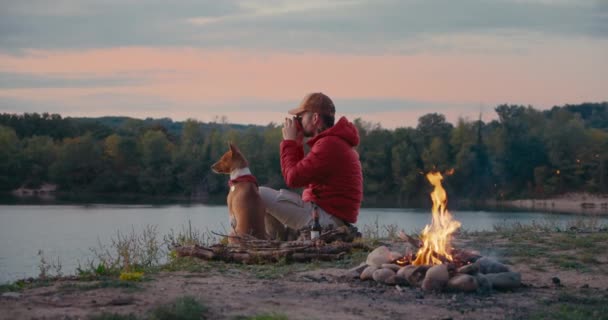 Man and pet dog rest next to campfire on hike trip — Stock Video