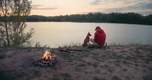 Man and pet dog rest next to campfire on hike trip — Stock Video