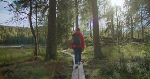 Viagens blogueiro homem com mochila caminhada na floresta — Vídeo de Stock