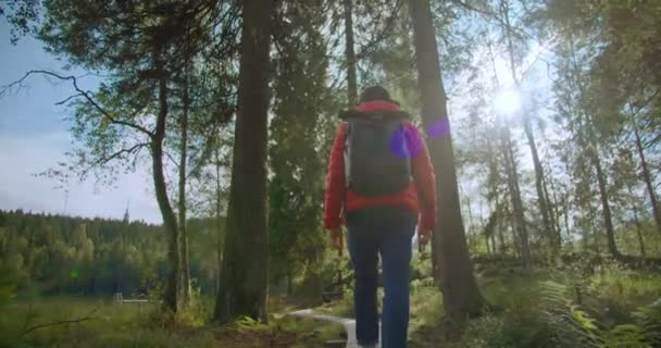 Reiseblogger Mann mit Rucksack wandert im Wald — Stockvideo