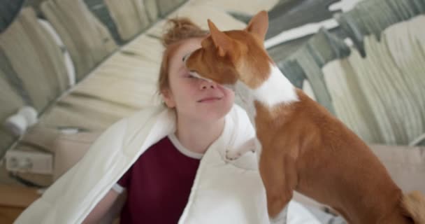 Adorable cachorro lame la cara del dueño de la chica — Vídeos de Stock